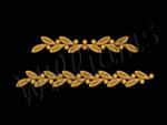 Set of Machine Embroidery Designs for borders