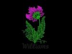 FLOWERS 2 Williams design