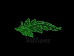 W0905 Free design