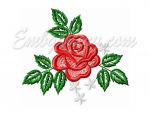 Machine Embroidery Design