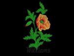 Williams design