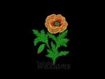 Williams design