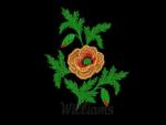 Williams design