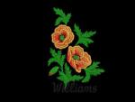 Williams design