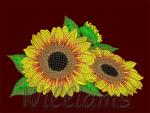 Machine Embroidery Design