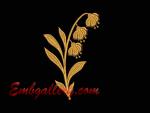 Machine Embroidery Design