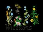 Machine Embroidery Designs Set
