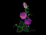 Williams design