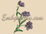 Set of 4 Machine Embroidery Designs