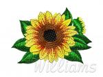 Machine embroidery designs.