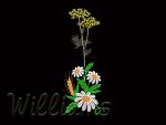 Machine embroidery designs.