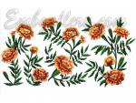 "Marigold"