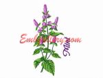 Wildflowers_"Mint"