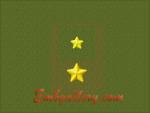 "Stars on Shoulder Marks"