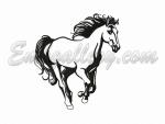 "Black and White Horses" - Prancing 	