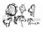 "Black and White Horses"