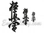 "Hieroglyph Kyokushin"_collection
