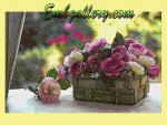 "The June Roses"
