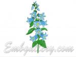 Bellflower 
