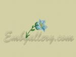 "Hot Summer"_Bellflower