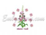 Wildflowers_"Fireweed"