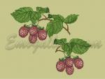 "Berry-Raspberry"