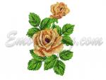 "Tea-rose"_2 