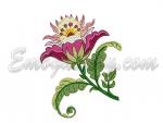 "Pomegranate flower"