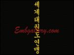 "Hieroglyphics for the belt TAEKWONDO"