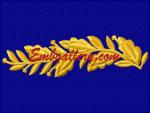 "Sprig on the lapel"_6