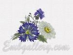 "Cornflowers and Daisies"_3
