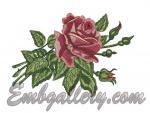 "The Rose"
