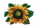 "SunFlower"