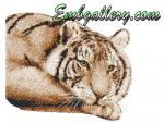 "Tiger"