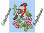 "Bullfinch"