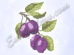"Plums"