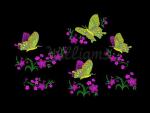 "Summer" Machine Embroidery Designs Set  