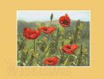 "Poppies"