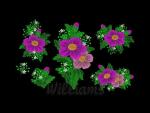 "Spring Flowers"