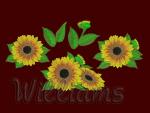  "Sunflowers"