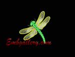 "Dragonfly" 