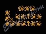 "Border_2"_Collection.