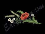"Scarlet Poppy"