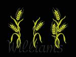 "Spikelets"_Machine embroidery designs Set