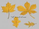 Autumn leaves (free)
