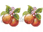 "Apples"  