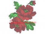 "2 poppies"