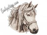 "Handsome"_Photo Stitch