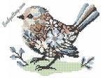 "Fantasy bird"