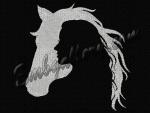 "Girl and a Horse"_2